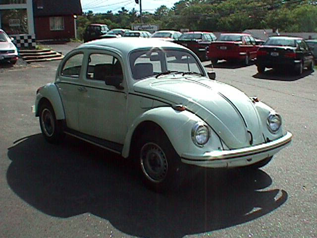 FurscaFront.jpg 57.8K