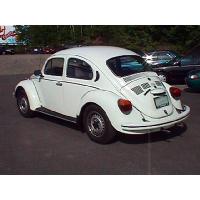 FuscaBack_thumb.jpg 7.9K