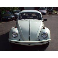 FuscaFront2_thumb.jpg 7.2K