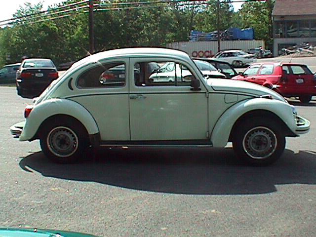 FuscaPassSide.jpg 68.1K