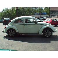 FuscaPassSide_thumb.jpg 8.5K