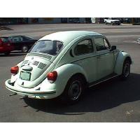 FuscaSide2_thumb.jpg 7.8K