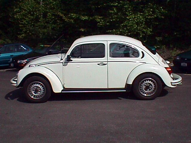 FuscaSide3.jpg 51.2K