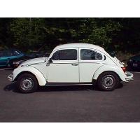 FuscaSide3_thumb.jpg 7.1K