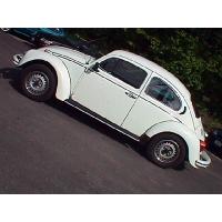 FuscaSide_thumb.jpg 7.8K